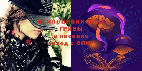 эйфоретик Козловка