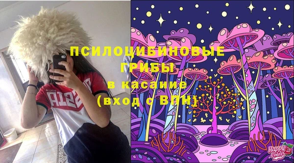 а пвп мука Козельск