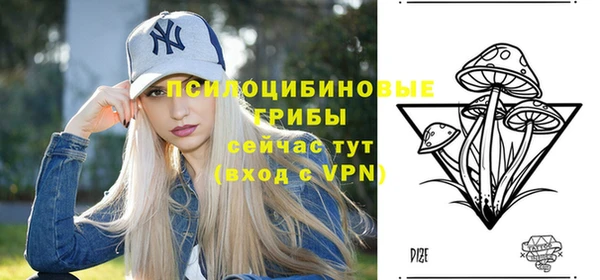 а пвп мука Козельск