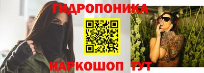 прущие грибы Балаково