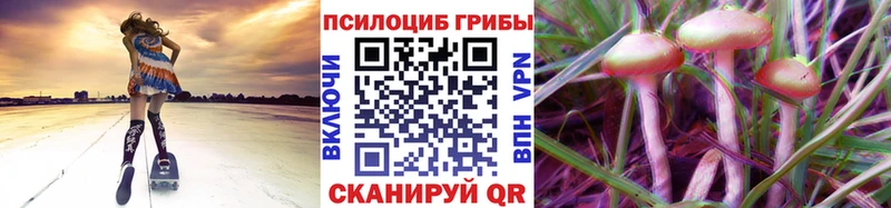 что такое наркотик  Уссурийск  Галлюциногенные грибы мухоморы 