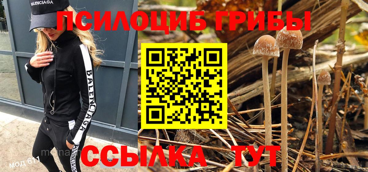 Уссурийск  закладки  Вход с VPN  Псилоцибиновые грибы прущие грибы 
