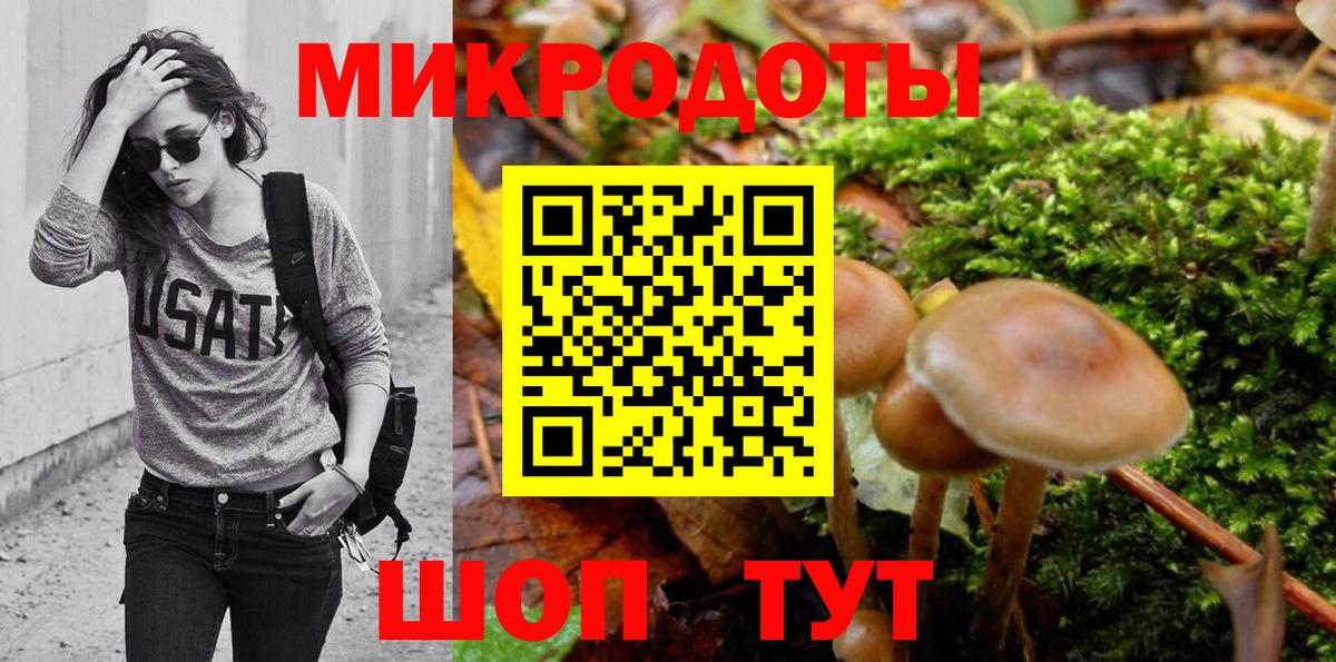 Галлюциногенные грибы Cubensis Уссурийск