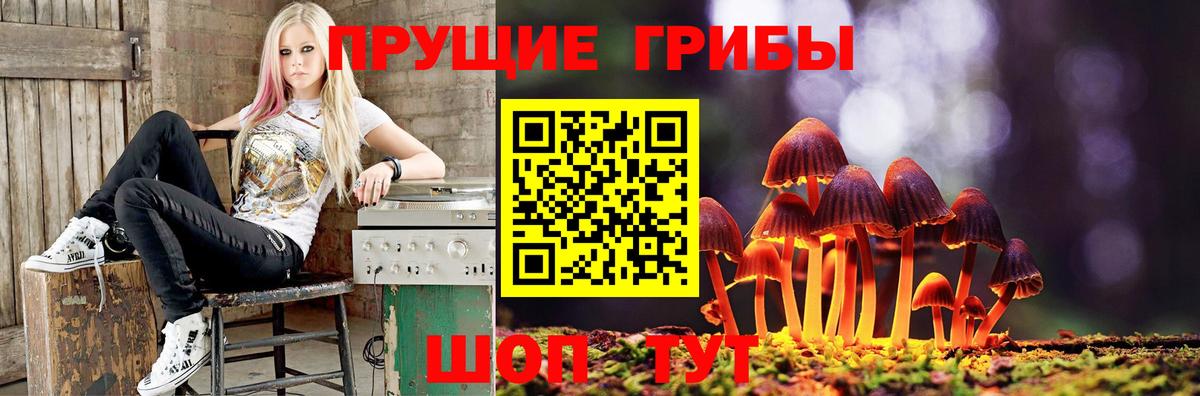 Псилоцибиновые грибы мицелий Уссурийск