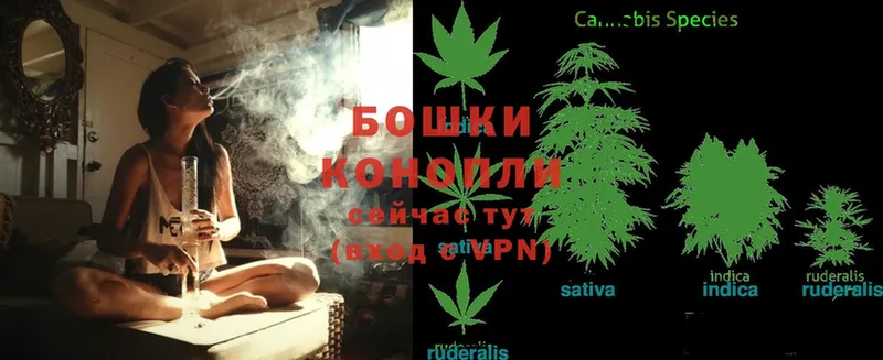 нарко площадка какой сайт  Уссурийск  Бошки Шишки White Widow  наркотики 